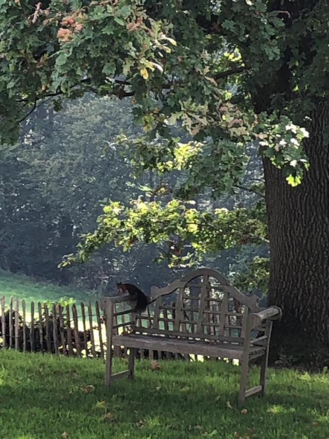 Gartenblick Leichlingen Ngoại thất bức ảnh