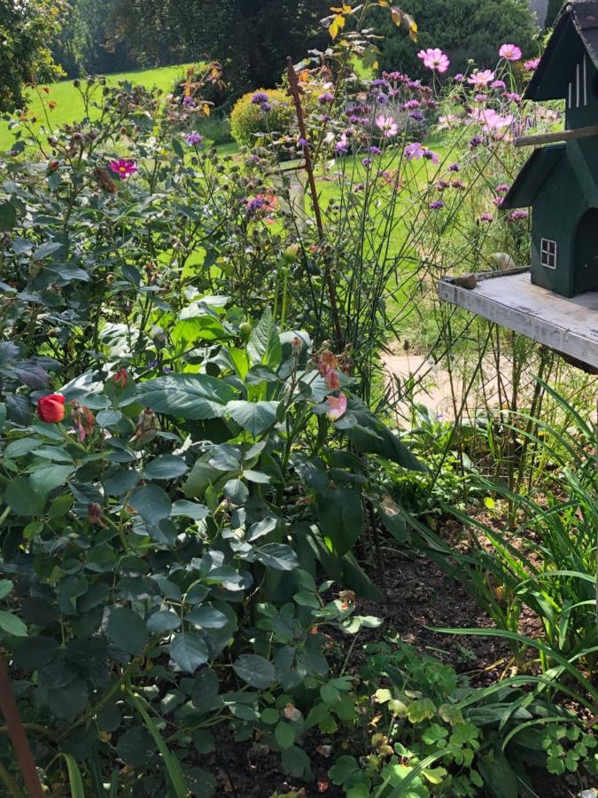 Gartenblick Leichlingen Ngoại thất bức ảnh