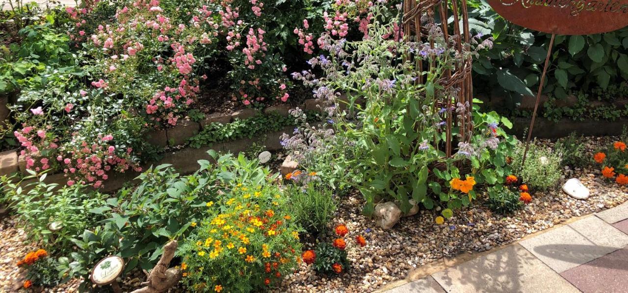 Gartenblick Leichlingen Ngoại thất bức ảnh