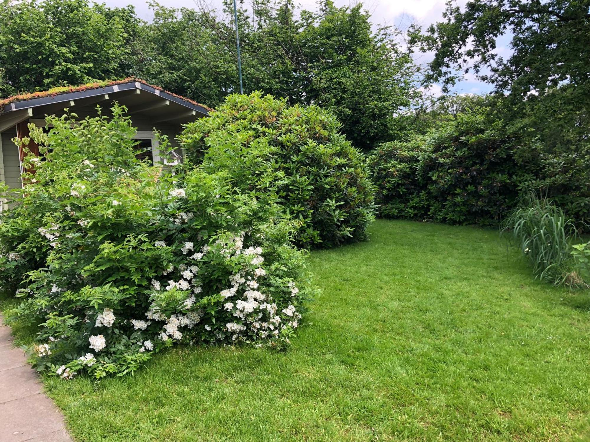 Gartenblick Leichlingen Ngoại thất bức ảnh