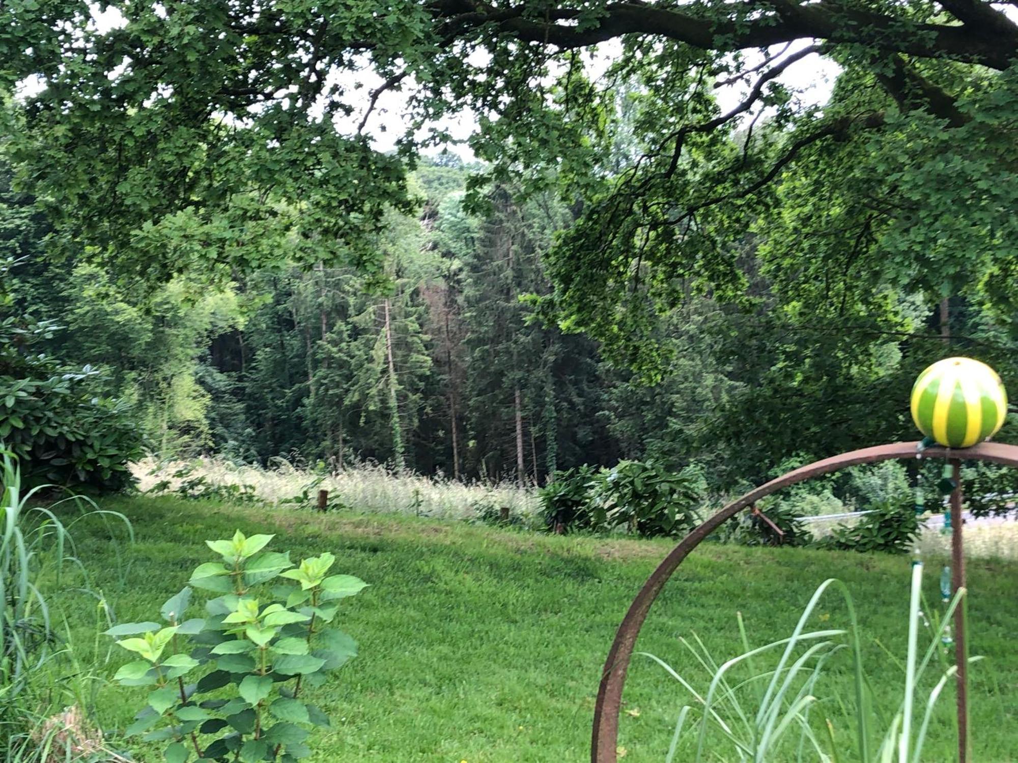 Gartenblick Leichlingen Ngoại thất bức ảnh